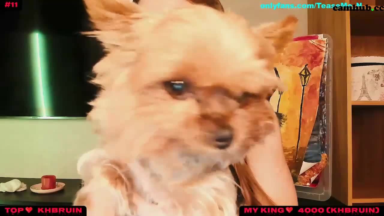 Performer teaseme_n myfreecams 2022-july-28 02:17_2_5, # 1 Porn Archive - ePornREC