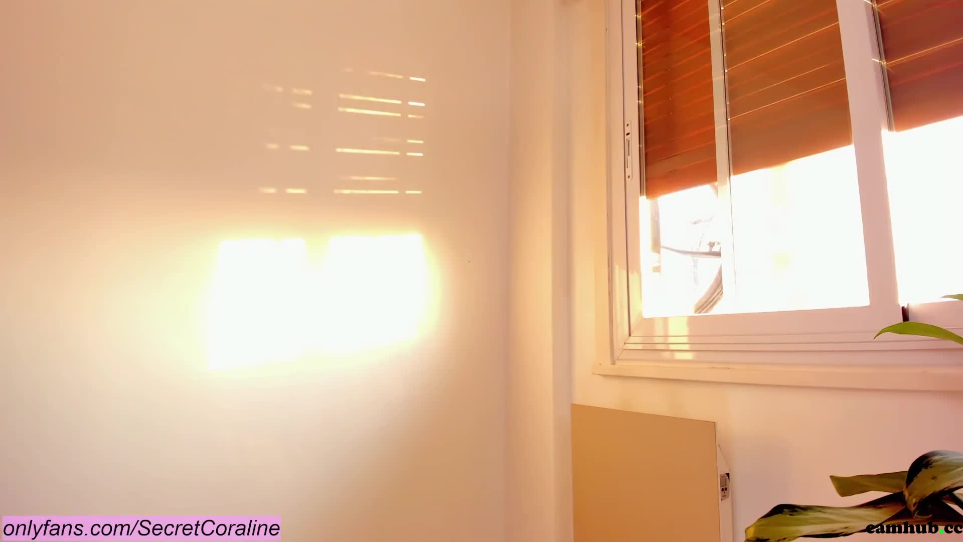 Performer secretcoraline 22-july-2022 female chaturbate_9, # 1 Porn Archive - ePornREC