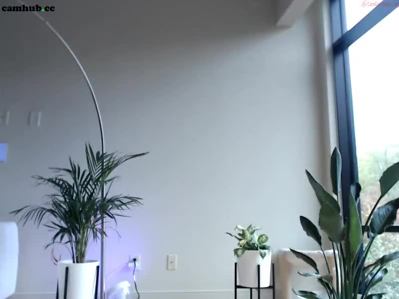 Performer lilliecat 29.10.2019 2122_myfreecams_8, # 1 Porn Archive - ePornREC