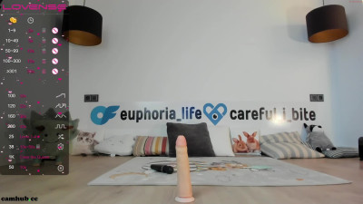 Watch euphoria_life 13-july-2022 1941_female_chaturbate_7