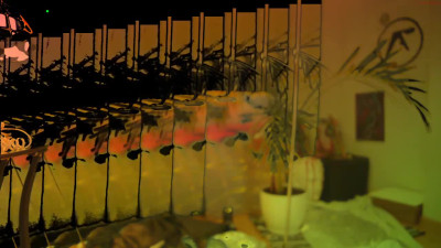 Watch psychedelicariaa 18.10.2020 2203_female_chaturbate
