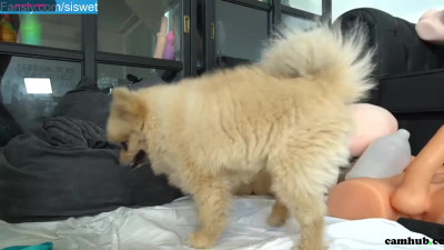 Siswet19 15-June-2022 sex video chaturbate 2022