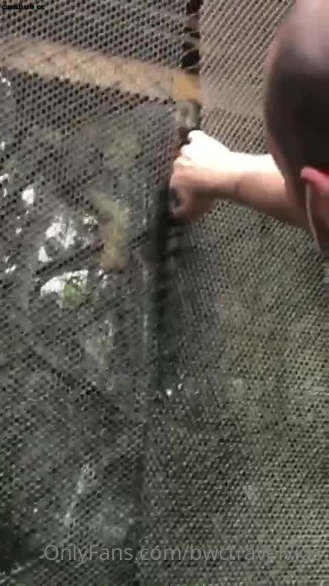 Performer bwctravelvids onlyfans 1-02-2022 performance Full ticket show - #1 Records Sex Cam | ePornREC