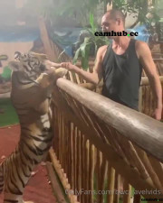 bwctravelvids onlyfans Busty chick fucks herself with a dildo