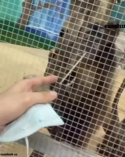 bwctravelvids onlyfans 26-01-2022 performance