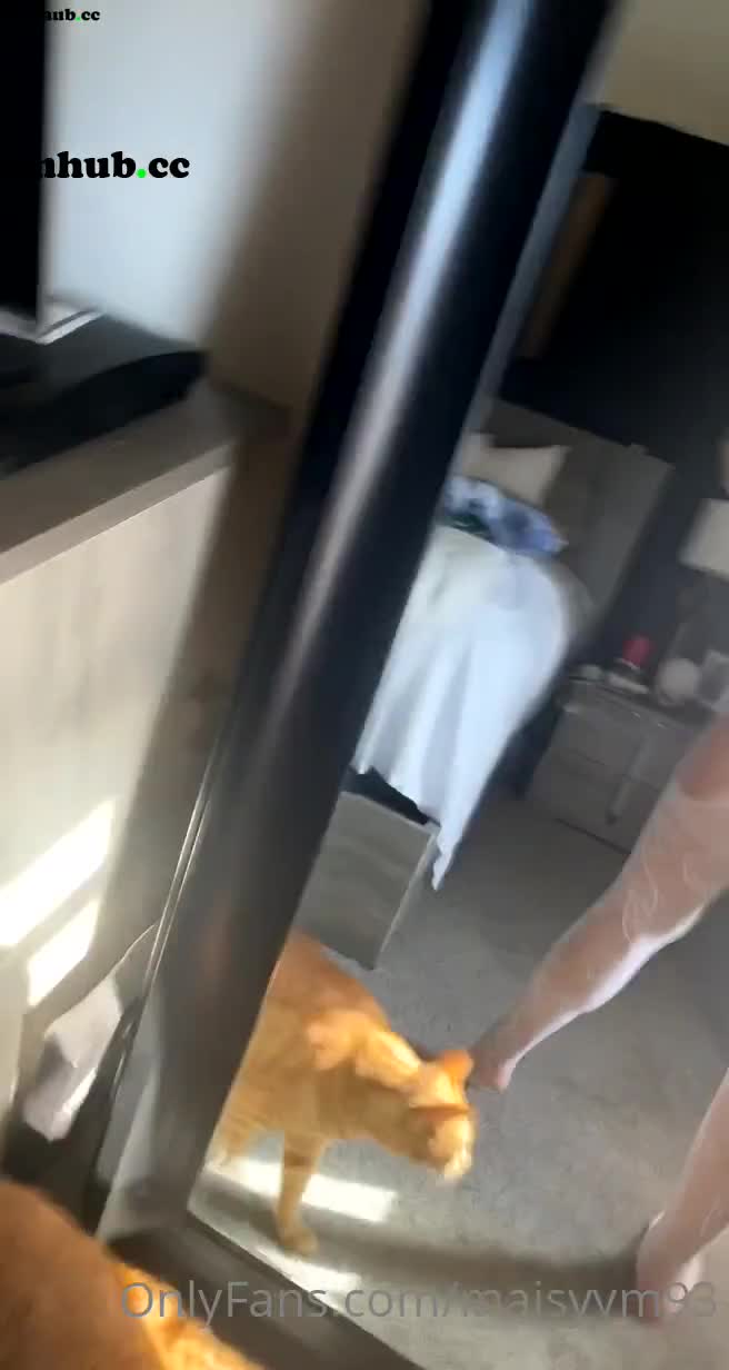 Performer maisyym93 onlyfans 29-01-2022 performance webcam masturbation - #1 Records Sex Cam | ePornREC