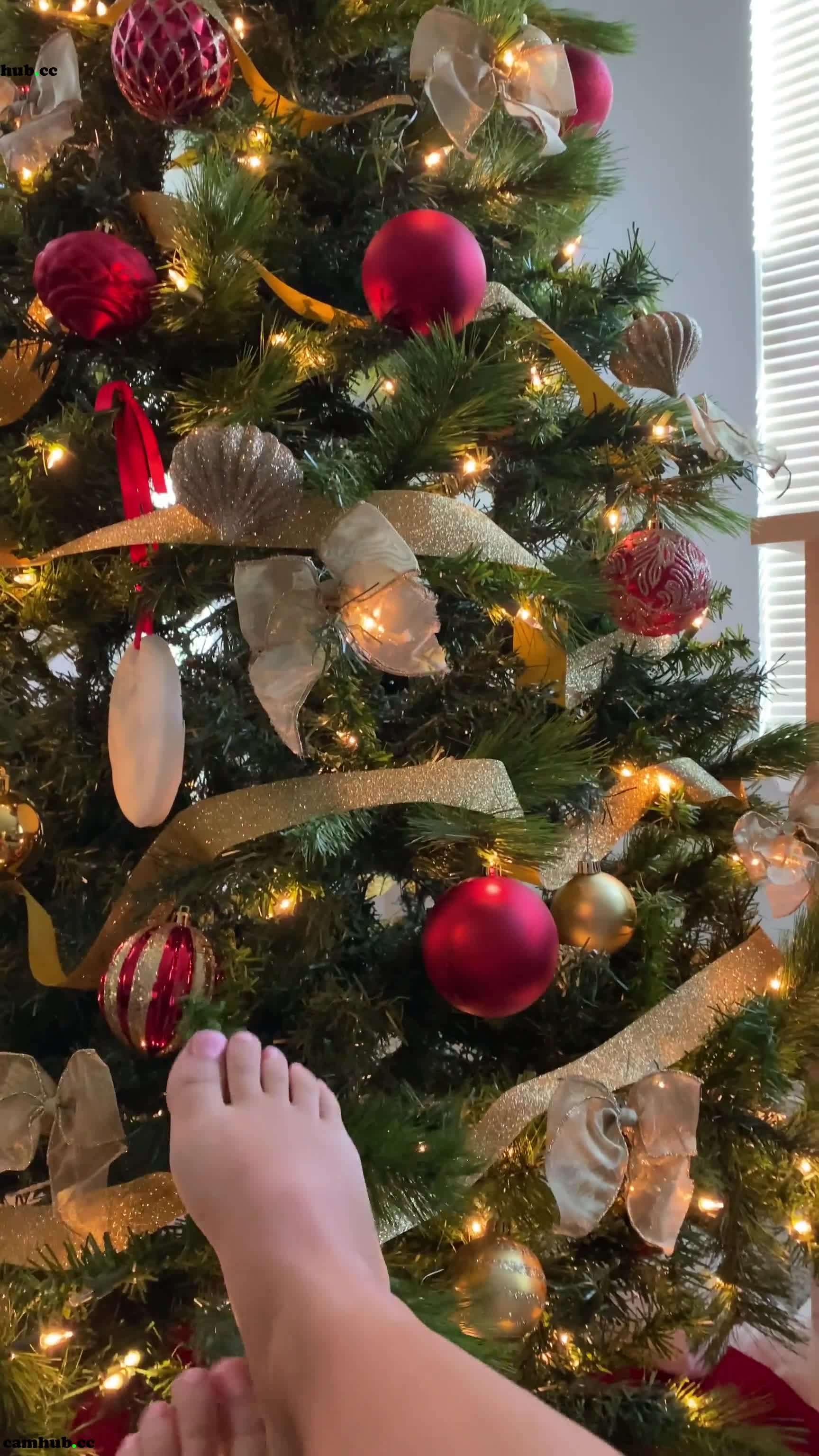 Performer faithmarone onlyfans newest video 22 - #1 Records Sex Cam | ePornREC