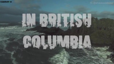 tempting_tigress May1032022_0111_webcam chaturbate 2022