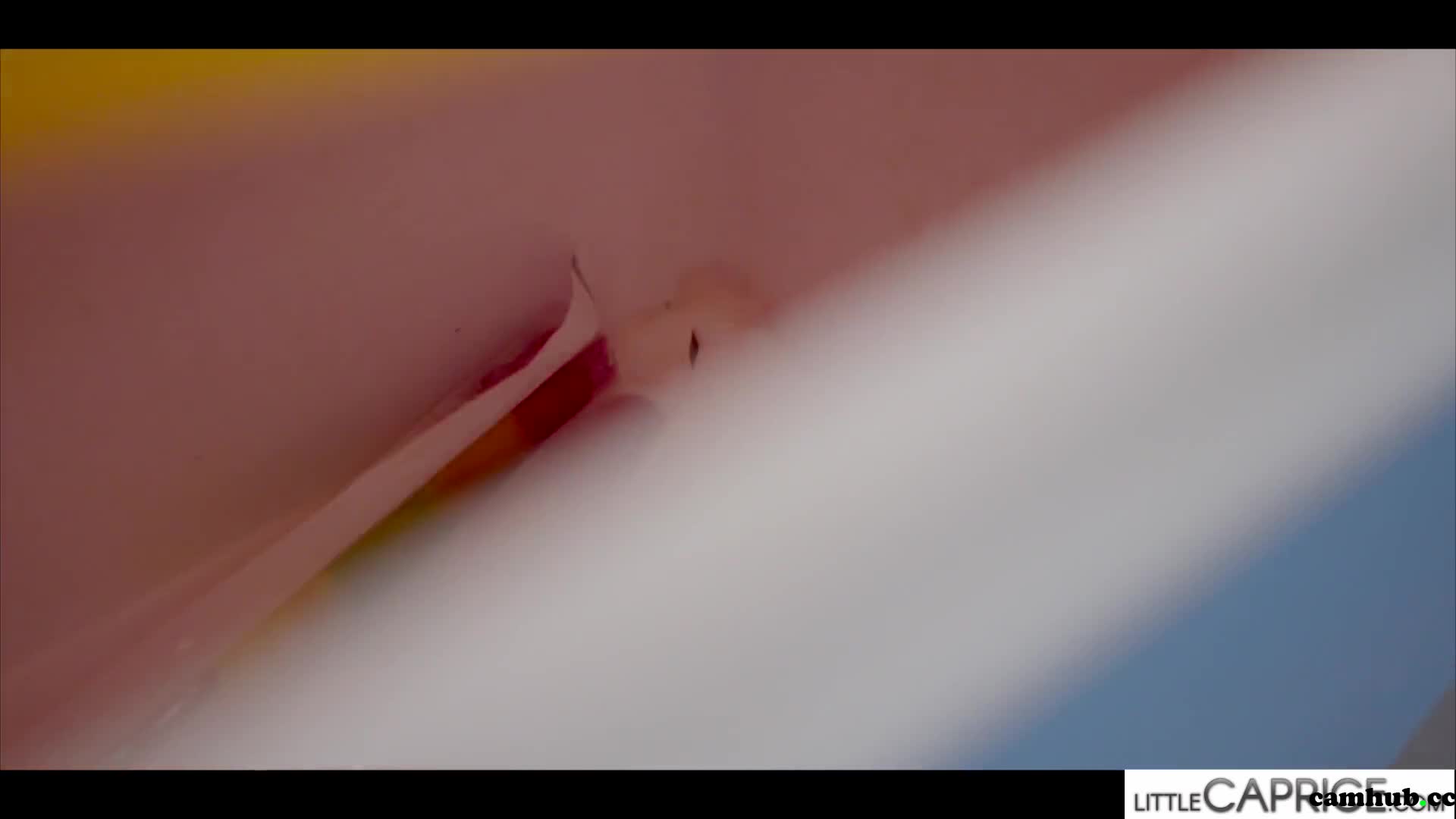 Performer Little Caprice aka littlecaprice onlyfans Tattooed beauty shows big breasts - #1 Records Sex Cam | ePornREC