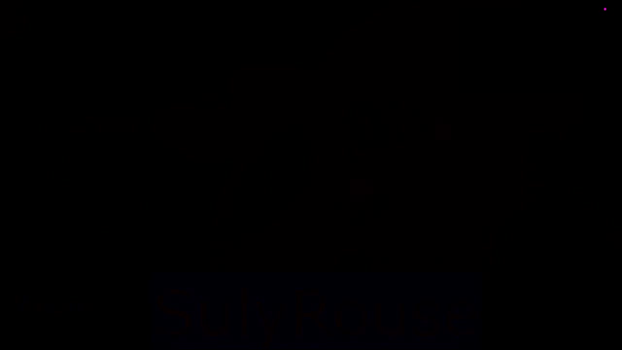 Performer sulyrouse vl#2, # 1 Porn Archive - ePornREC