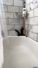 Bria Backwoods aka briabackwoods onlyfans 27 july 2022 webcam masturbation